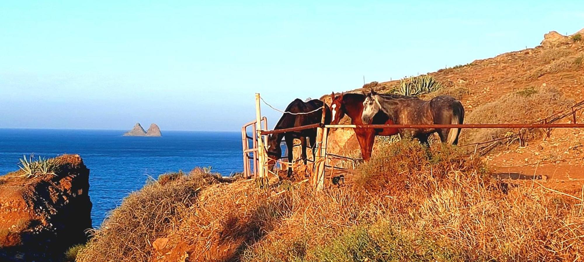 Casa Tucho Paraiso Sea Sound Santa Cruz de Tenerife Kültér fotó